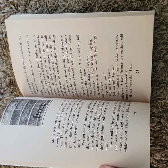 Junebug Children's book by Alice Mead - Picture 4 of 5